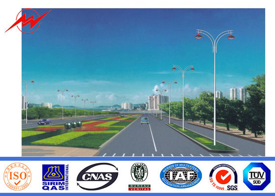 Уличный фонарь Поляк 10m Q235 рукоятки сада одиночный с гальванизированием горячего погружения