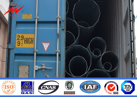 Сдвоенная лампа напольное светлое Поляк улицы Poles краски брызга гальванизированная стальная